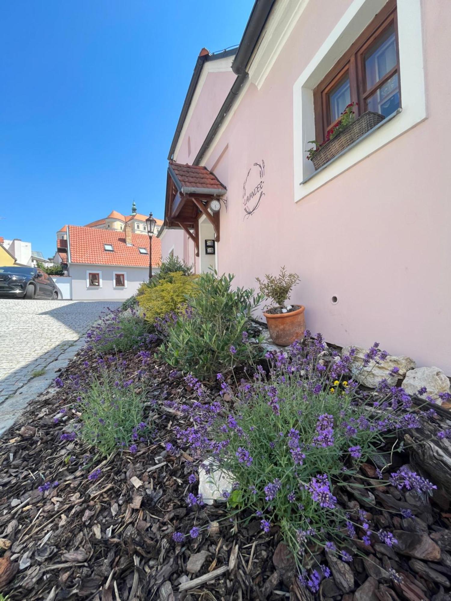 Apartmany Lavander Mikulov Buitenkant foto